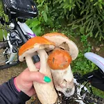 Wilkaski Zakatek * Гижицко