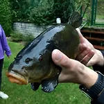 Semesterbostad Wilkaski Zakatek