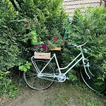 Wilkaski Zakatek 펜션