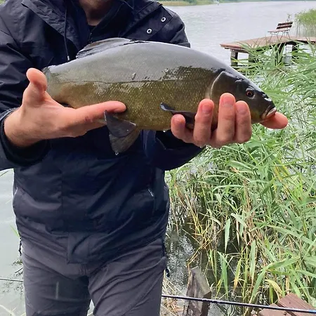 Casa vacanze Wilkaski Zakatek Giżycko