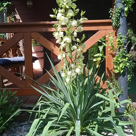 Tatil Evi Wilkaski Zakatek