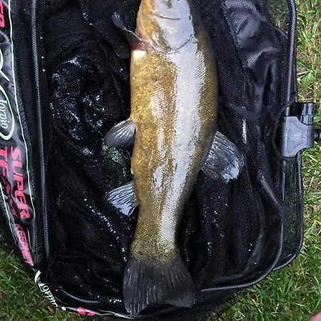 Wilkaski Zakatek Casa vacanze Giżycko