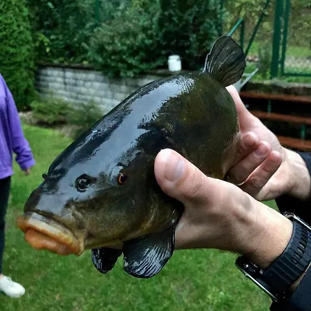 Дом отдыха Wilkaski Zakatek