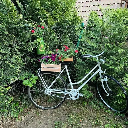 Wilkaski Zakatek Tatil Evi