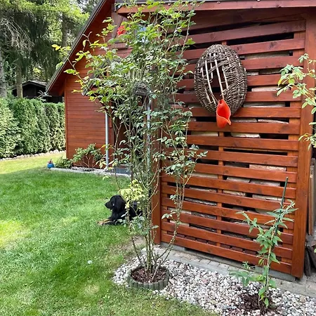 Wilkaski Zakatek * Giżycko