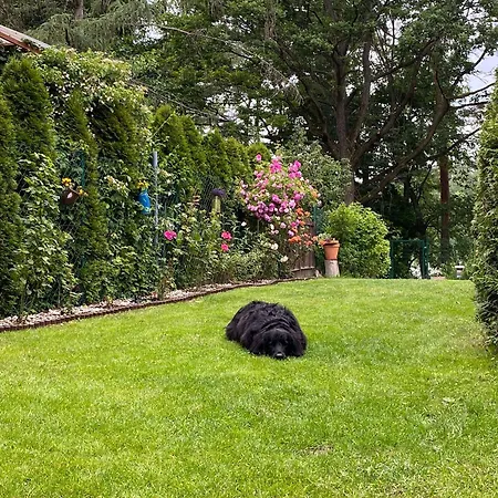 Wilkaski Zakatek * Giżycko