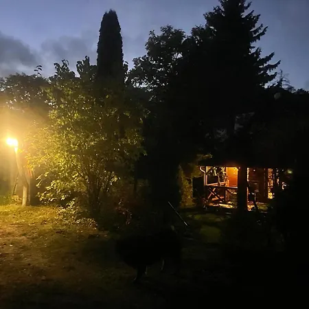 Wilkaski Zakatek Giżycko