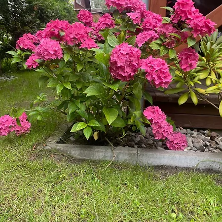 Tatil Evi Wilkaski Zakatek