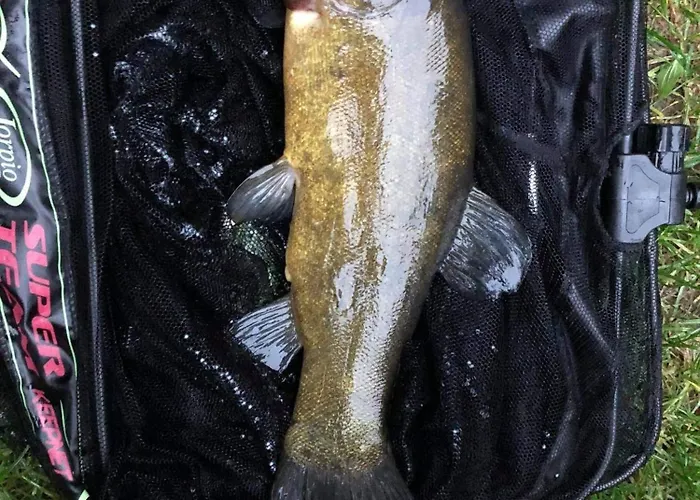 Wilkaski Zakatek Holiday home Gizycko