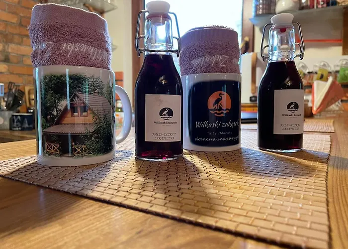 펜션 Wilkaski Zakatek