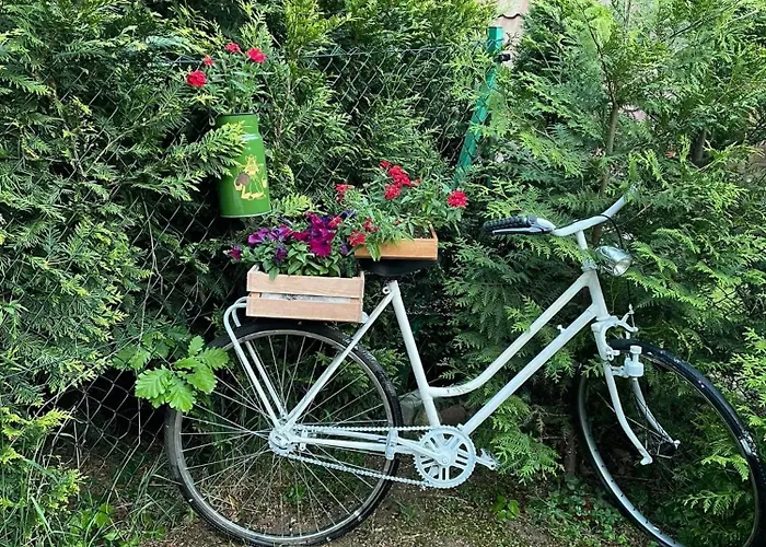 Wilkaski Zakatek Holiday home