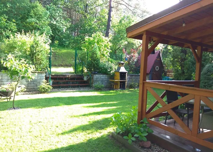 Wilkaski Zakatek * 기지크코