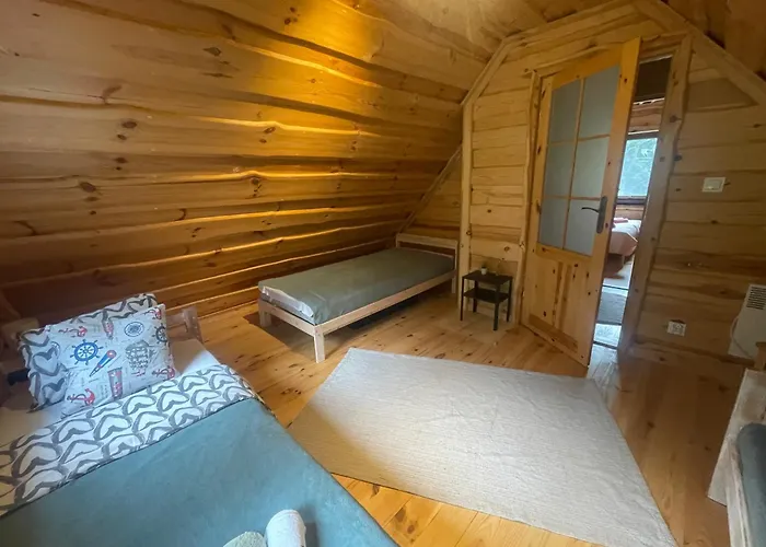 Wilkaski Zakatek * 기지크코