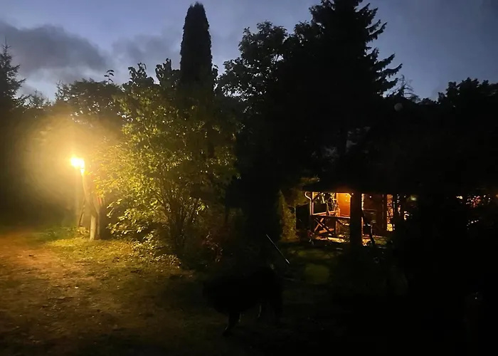 Wilkaski Zakatek 기지크코